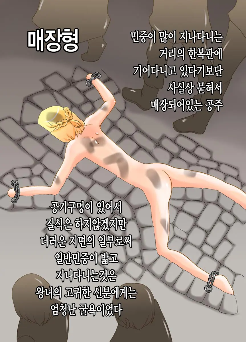 Ryoshuu Hime 2 Boukoku No Himegimi